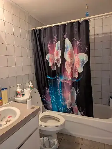 2 bed, 1.0 bath, $1,600 — Photo 4
