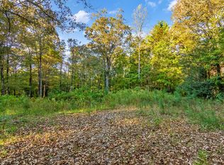 164 Oak Wood Trl #1, Ellijay, GA 30536