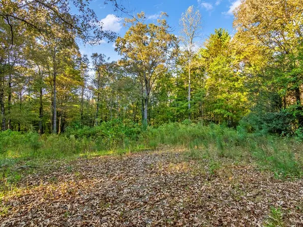 164 Oak Wood Trl, Ellijay, GA 30536