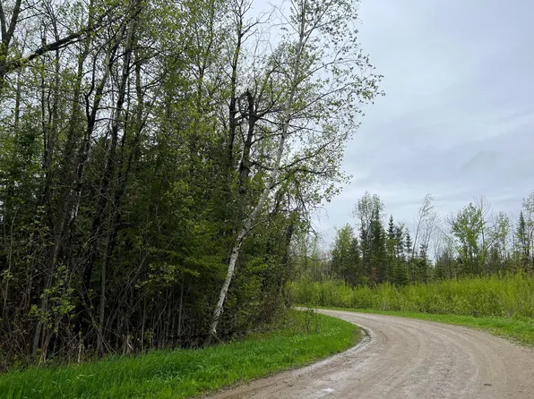County Road 173, Deer River, MN 56636