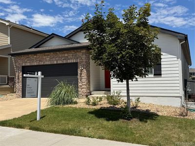 4391 Mcmurdo Court, Castle Rock, CO, 80108