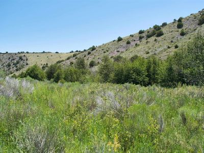 Lot 1 and 2 Canyon Road, La Jara, CO, 81140