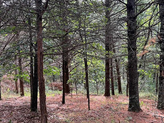2nd image of 19th Rd #1