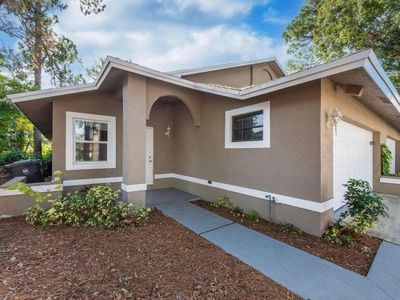 1025 Staghorn Street Street, Wellington, FL, 33414