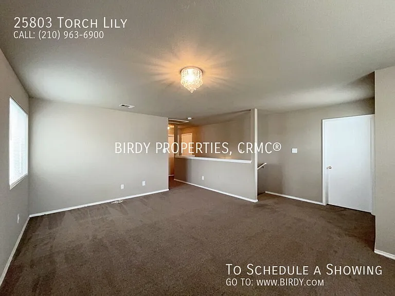 25803 Torch Lily — Photo 24