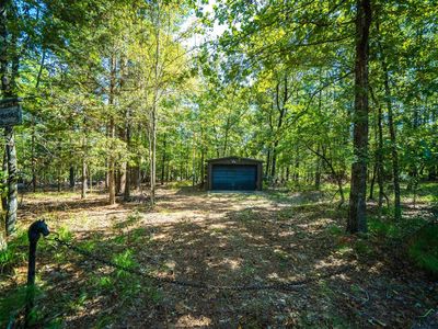 Tbd Cr 1596, Avinger, TX, 75630