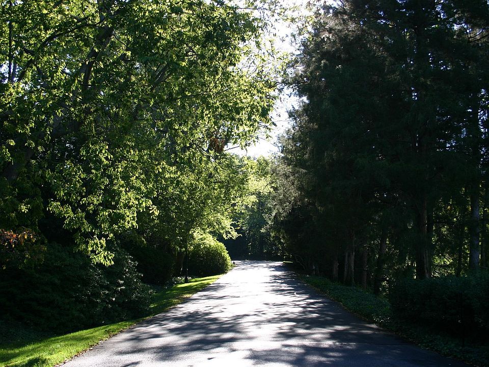 2nd image of 4902 Lockgreen Cir