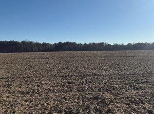 0 Whitfield Rd, Elko, GA 31025