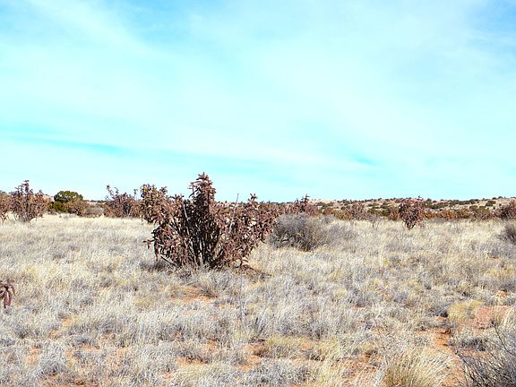 3rd image of LOT 23 Rio Rancho Blvd NE