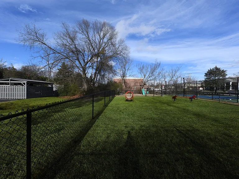 Leash Free Bark Park + Obstacle Course