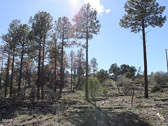 2nd image of 1663 Cactus Flower Rd