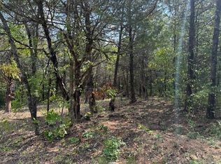 40 Big Creek Rd #2, Shell Knob, MO 65747