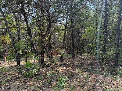 Lot 40 Big Creek #2, Shell Knob, MO, 65747