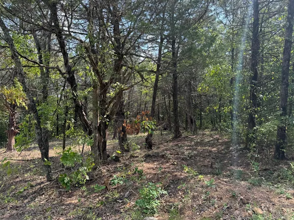 Lot 40 Big Creek #2, Shell Knob, MO 65747