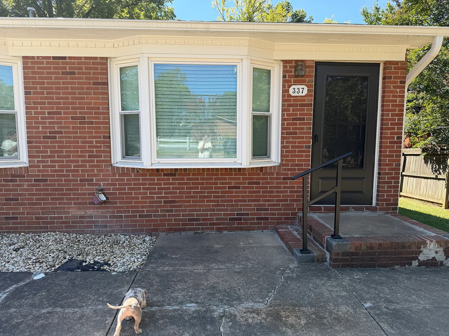 1 bed, $1,275 — Photo 1