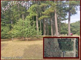 553 Jim Christian Rd, Lillington, NC 27546