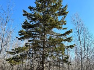 Spring Creek Dr #4080-2, Tomahawk, WI 54487