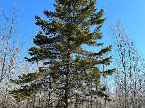 Spring Creek Dr #4080-2, Tomahawk, WI 54487