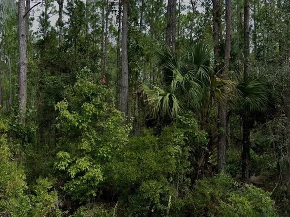 Song Sparrow St Lot 5, Palatka, FL 32177