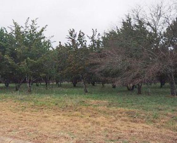 2nd image of 9976 Trophy Oaks Dr