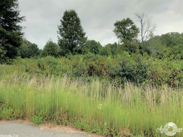 94 Grace Cir, Lonoke, AR 72086