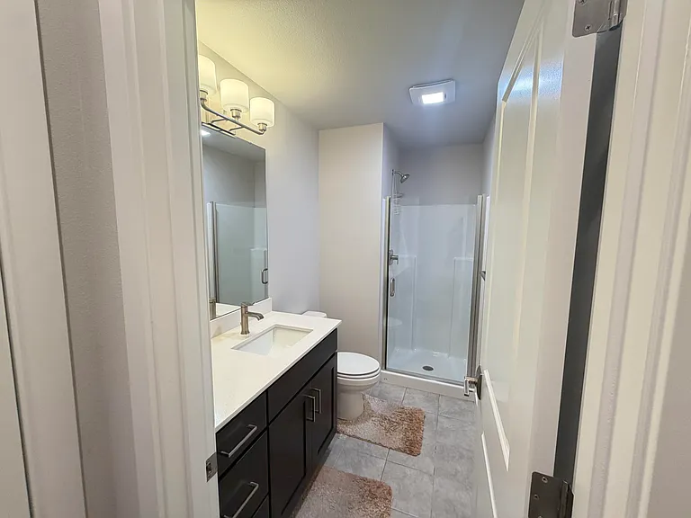 Lower level bathroom