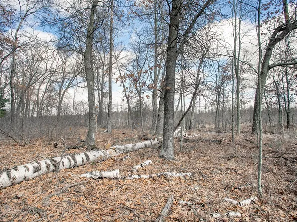 TBD Owl Lake, Siren, WI 54872