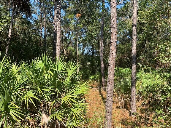 3rd image of 11968 W Bluebell Dr