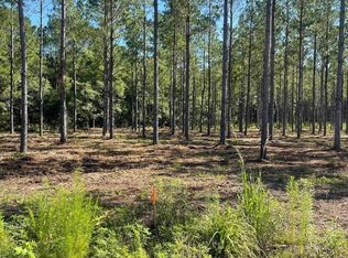 Coventry Rd LOT 2, Nichols, SC 29581