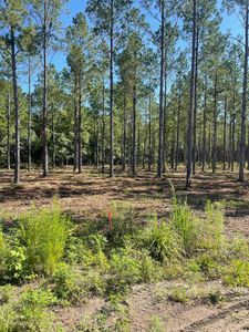 TBD Coventry Rd. Lot 2, Nichols, SC, 29581