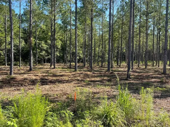 TBD Coventry Rd. Lot 2, Nichols, SC 29581