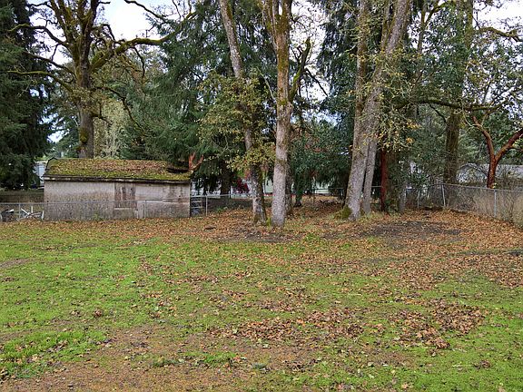 back yard