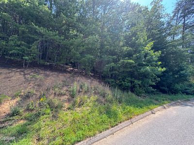 LOT 155 Bear Valley Rd, Sevierville, TN, 37876