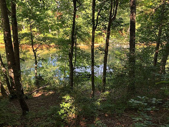 2nd image of 208 Rocky Springs Dr #20