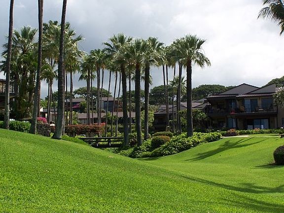 Front Lawn