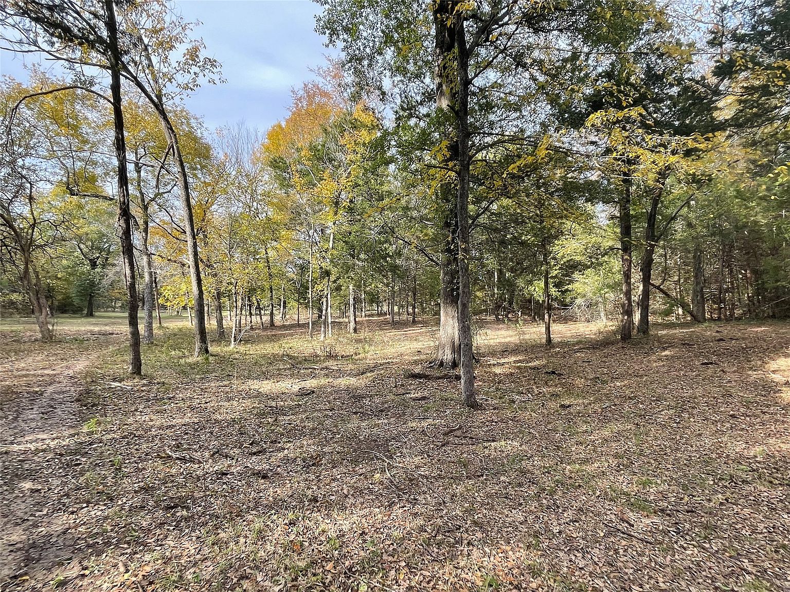 TRACT 1 County Road 2615, Telephone, TX 75488 | Zillow