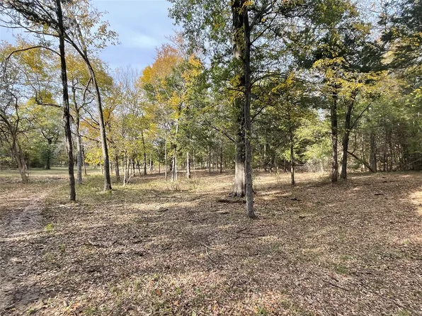 TRACT 1 County Road 2615, Telephone, TX 75488