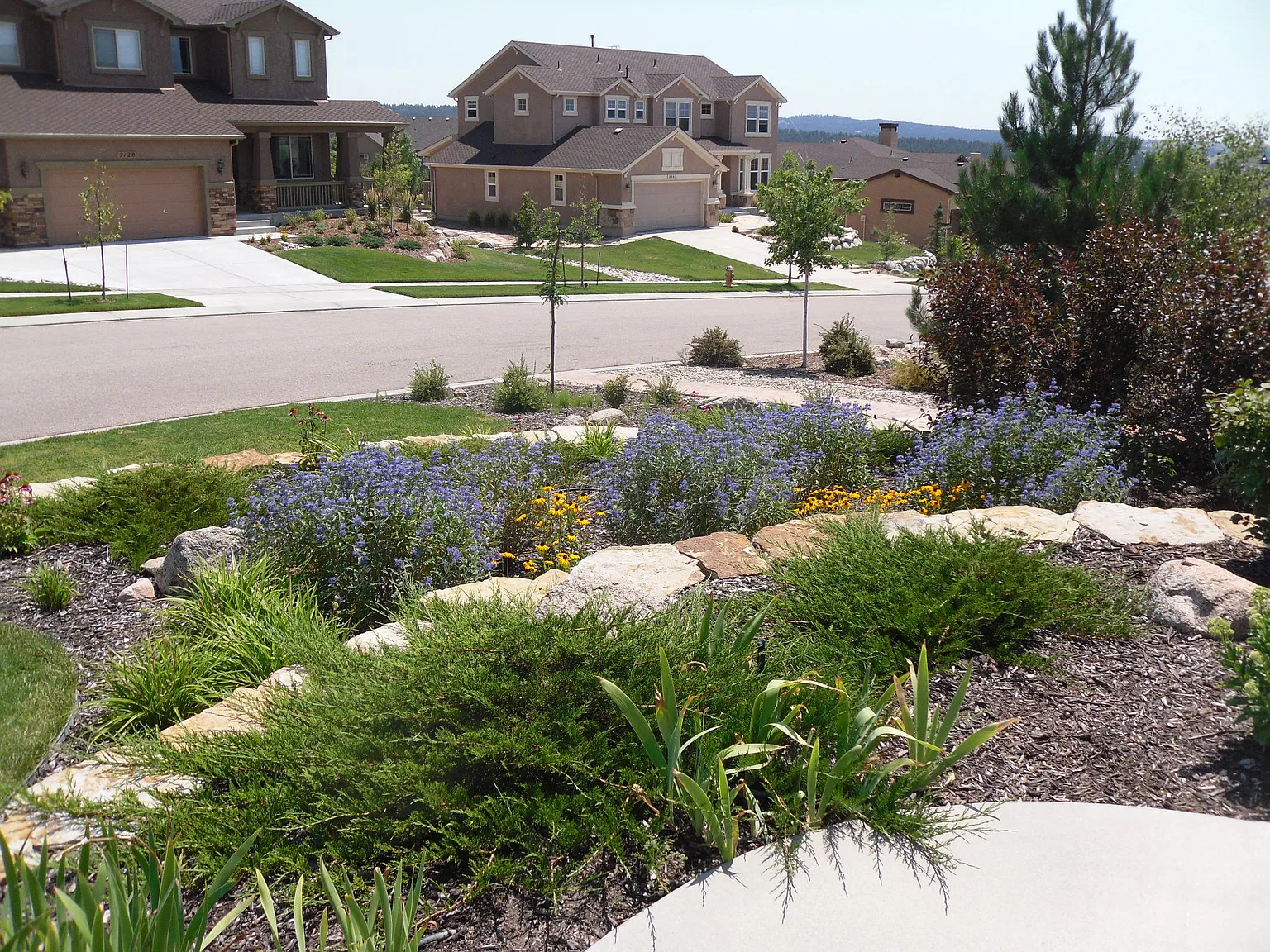 5 bed, 5400 sqft, $4,200 — Photo 3
