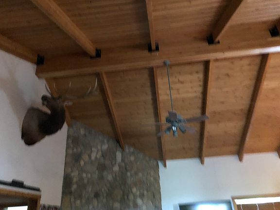 5th image of 195 Buckskin Cir