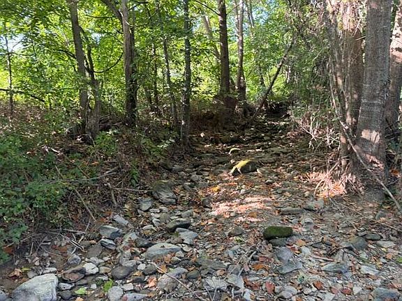 5th image of Tbd County Road 9068