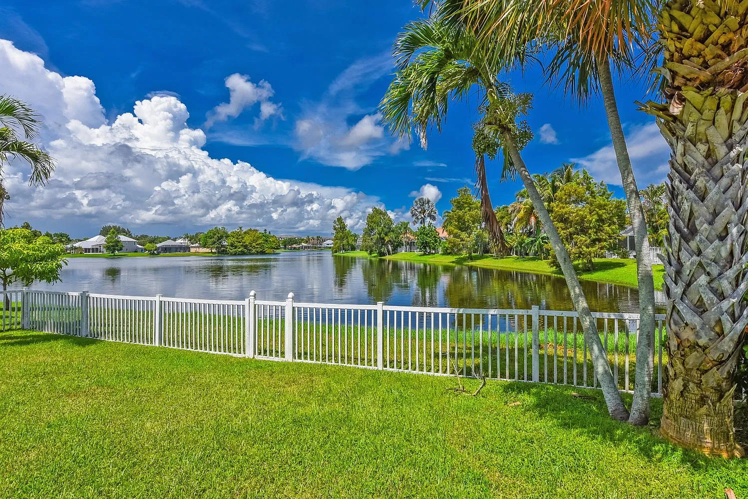 3 bed, 2.0 bath, 1338 sqft, $3,000 — Photo 3