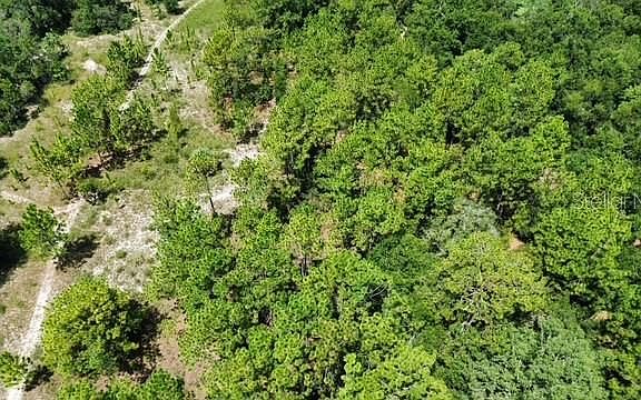 4th image of 4026 N ORANGE BLOSSOM TRAIL LOT 42