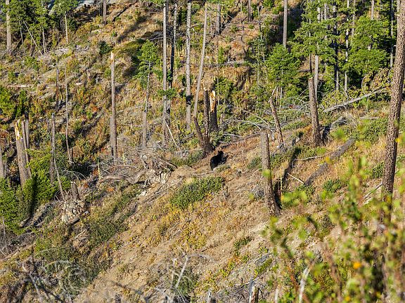 2nd image of Nhn Vermillion Creek Rd