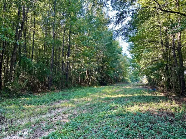 Williams St NE, Brookhaven, MS 39601