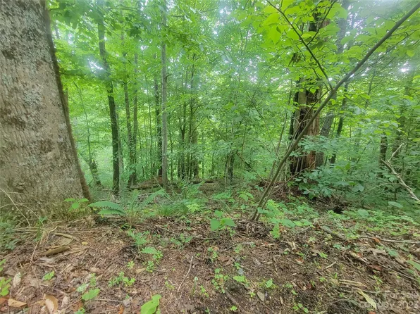 14 Sidewinder Dr, Green Mountain, NC 28740