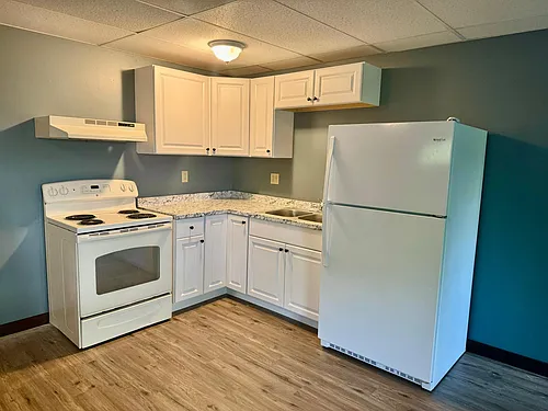 1009 N Branch St #2 Photo 1