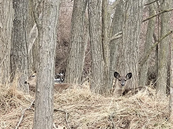 0 12th St, Manistee, MI 49660