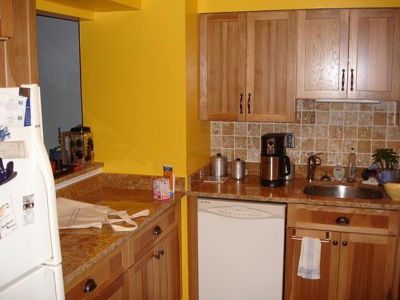 new kitchen remodel 2009