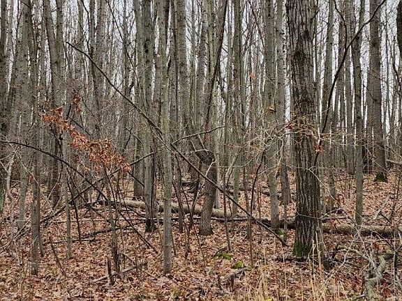 5th image of Tbd Winding Wood Dr