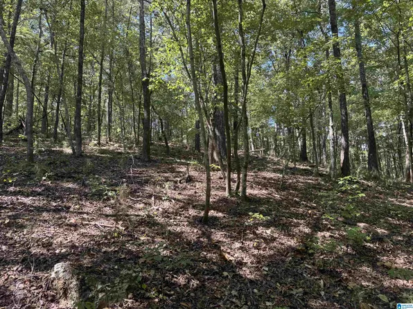Mays Bend Rd #0, Pell City, AL 35128